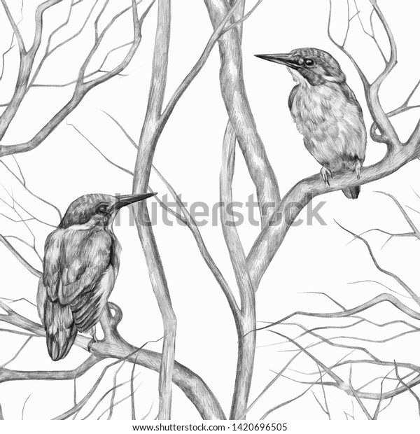 Vintage seamless pattern. Kingfisher birds sitting\
on tree branches. Pencil drawing on a white background. Beautiful\
gentle background. Sketch style. For a postcards, wrapping paper,\
invitations,\
etc.
