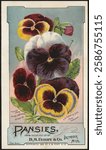 Vintage seed packet with colorful pansies illustration. Pansies in purple, yellow, and white. Pansies art decorates the packet. Pansies from 1889 Detroit. Vintage animal art illustration.