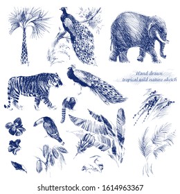 Vintage sketch tropical animals design. Jungle forest. hand drawn wild nature line graphics. Indigo color. 
