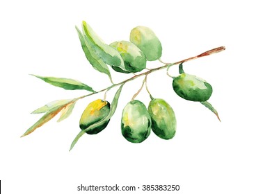 58,193 Water Olives Images, Stock Photos & Vectors | Shutterstock