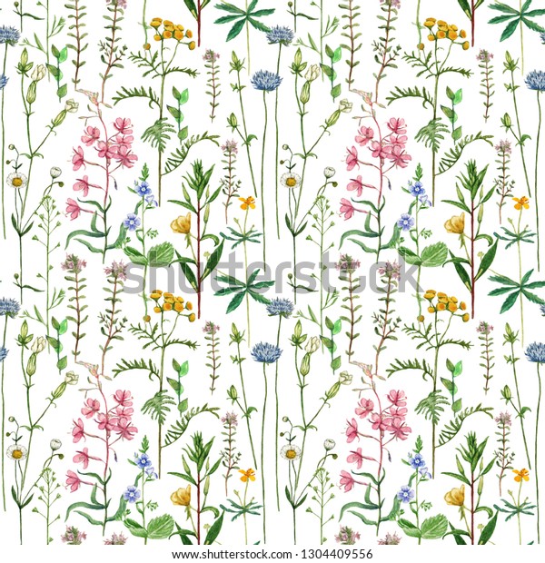 枯れた牧草地の花と植物 ヤマベリーを使ったビンテージ水の色のパターン のイラスト素材