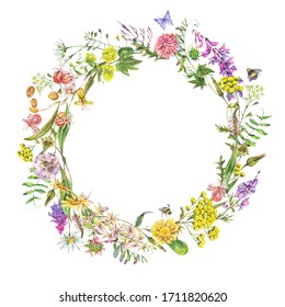 Vintage watercolor summer meadow wildflowers wreath. Botanical floral greeting card isolated on white background, natural frame. Medicinal flowers collection