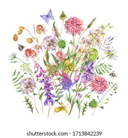 Vintage watercolor summer purple meadow wildflowers greeting card. Botanical floral bouquet on white background, natural objects. Medicinal flowers collection