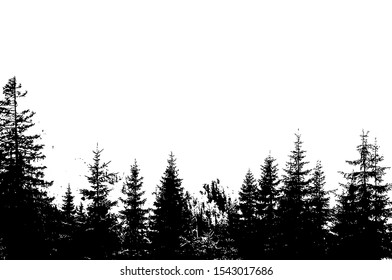 Abstract Background Forest Wilderness Landscape Pine Stock Vector ...