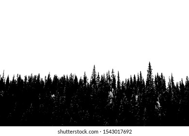 Forest Silhouette Backgroundview Realistic Coniferous Treesvector Stock ...