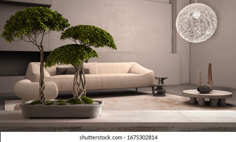 Vintage wooden table shelf with pebble and potted bloom bonsai, green flowers, over elegant grunge living room with plaster walls and floor, zen clean architecture concept idea, 3d illustration