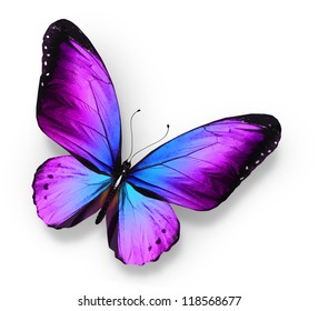 Violet Blue Butterfly , Isolated On White