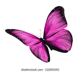 Violet Butterfly Flying Isolated On White Stock Illustration 110392592