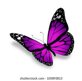 Butterfly Isolated On White Background Stock Illustration 114428965 ...