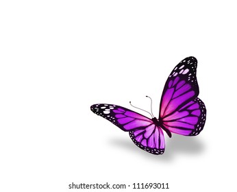 88,282 Violet butterfly Images, Stock Photos & Vectors | Shutterstock