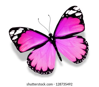 Violet Butterfly Isolated On White Background Stock Illustration ...