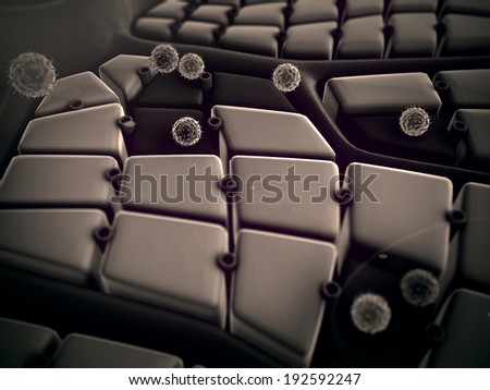 virus attack the liver, Human Immune System, Coronavirus atack the lungs cell, liver disease, liver structure, structure of the liver, 