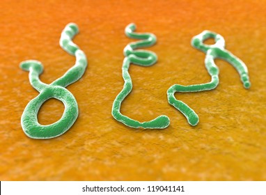 Virus Ebola