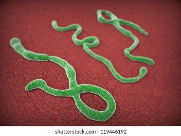 Virus Ebola