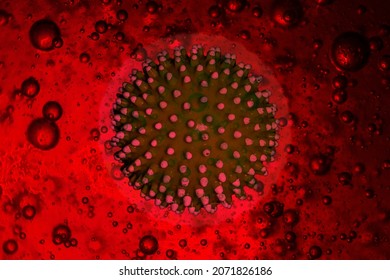 Virus Floating In Blood, Viral Infection 3d Illustration