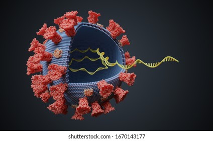 Virus With RNA Molecule Inside. Viral Genetics Concept. 3D Rendered Illustration.