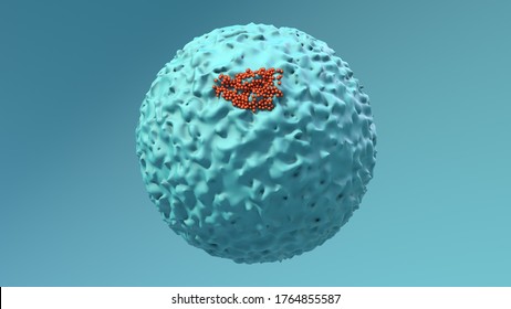 Virus Size, Coronavirus Size Compared To Cell, Virus Attacking A Human Cell,
Microscope Virus Close Up 3d Illustration