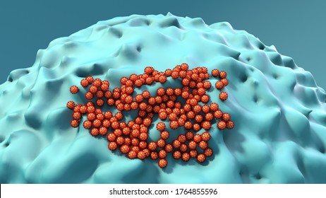 Virus size, Coronavirus size compared to cell, Virus attacking a human cell,
Microscope virus close up 3d illustration