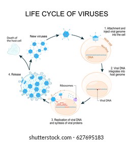 72,904 Dna virus Images, Stock Photos & Vectors | Shutterstock