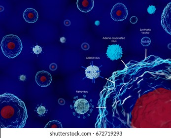 Viruses Used In Gene Therapy