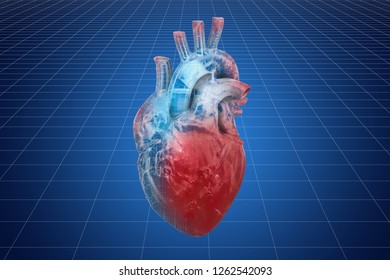 Visualization 3d Cad Model Of Human Heart, 3D Rendering