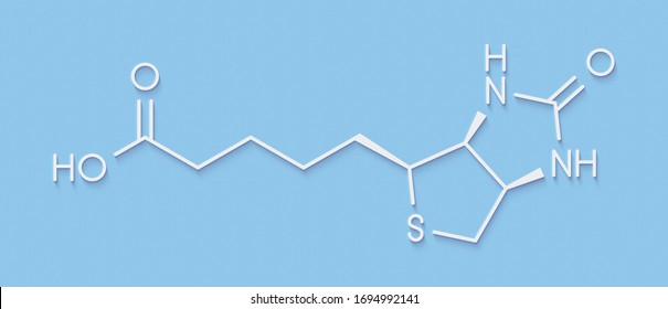 Vitamin B7 (biotin) Molecule. Skeletal Formula.