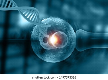 Vitro Fertilization. IVF with DNA strand. 3d illustration	