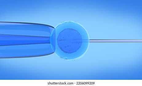 In Vitro Fertilization (IVF) Is A Process Of Fertilization Where An Egg Is Combined With Sperm In Vitro. Test Tube Baby In Lab For Pregnancy	