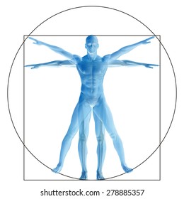 Vitruvian human or man as a concept, metaphor conceptual 3d proportion anatomy body isolated for biology, anatomical, Leonardo, medicine, symbol, physiology, skeleton, health, humanity or morphology