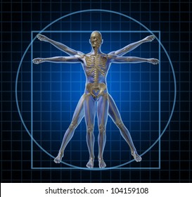 Vitruvian Human Skeleton Man And Body With As A Frontal Leonardo Da Vinci Like Anatomy Pose For Health Care And Medicine Icon On A Black Background.