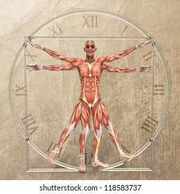 Vitruvian Man