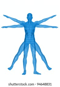 Vitruvian Man. 3d Rendering. On White