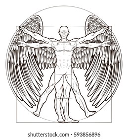 Vitruvian man angel figure like Leonard Da Vinci s anatomy illustration with wings