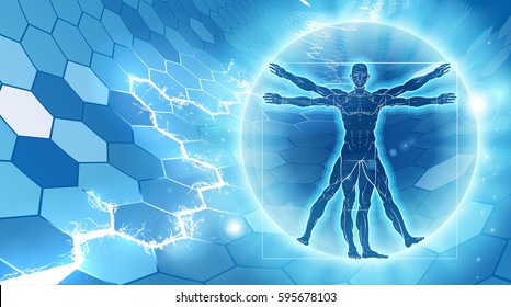 Vitruvian man hexagon blue background concept like Leonard Da Vinci s anatomy illustration