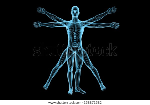 Vitruvian man with skeleton\
for study