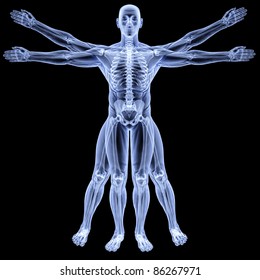 vitruvian man under X-rays. isolated on black.