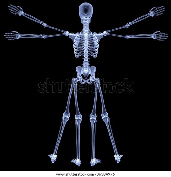 Vitruvian Man Under Xrays Isolated On Stock Illustration 86304976 ...