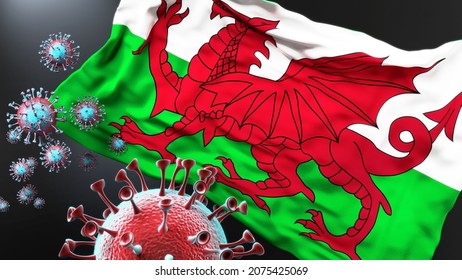 Wales And The Covid Pandemic - Corona Virus Attacking National Flag Of Wales To Symbolize The Fight, Struggle And The Virus Presence In This Country, 3d Illustration