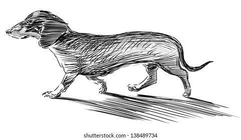 Walking Dachshund Stock Illustration 138489734 | Shutterstock