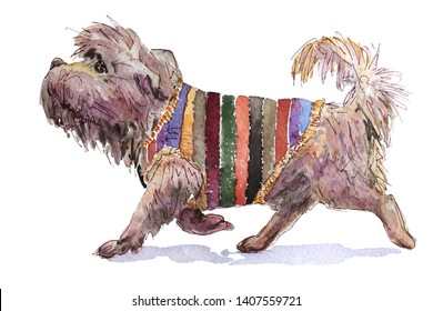 Walking Dog. Watercolor Shaggy Dog In Striped Clothes Isolated.