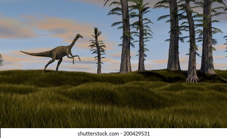 Walking Gallimimus