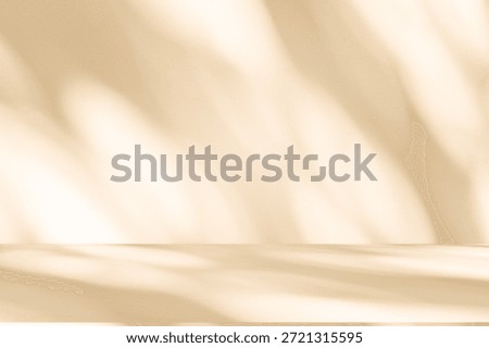 Wall interior background, studio  and backdrops show products. with leaf shadow from window color beige and white. background for text insertion and presentation of product 