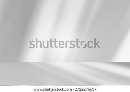Wall interior background, studio  and backdrops show products.with shadow from window color white and grey. background for text insertion and presentation product