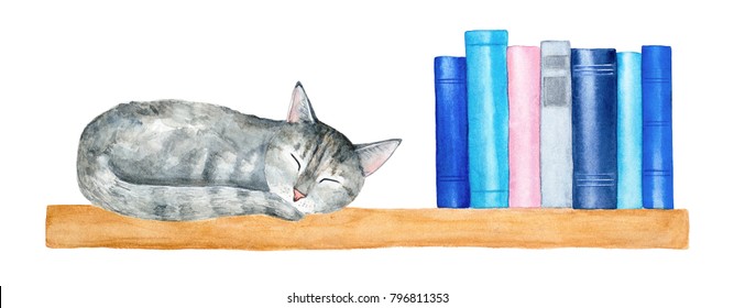 Wall wooden book shelf and little gray tabby cat taking nap   row reading books  Blue  pink  grey colored covers  Cozy   warm decoration  Hand drawn graphic white background  cut out 