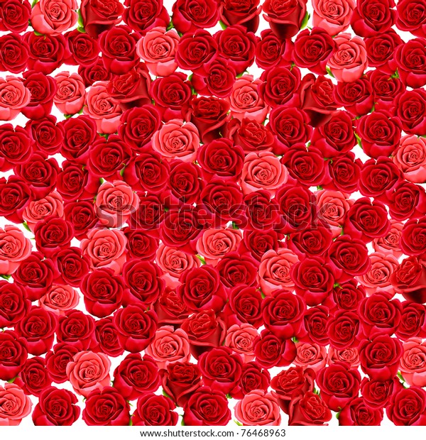 Wallpaper Red Pink Roses Stock Illustration 76468963