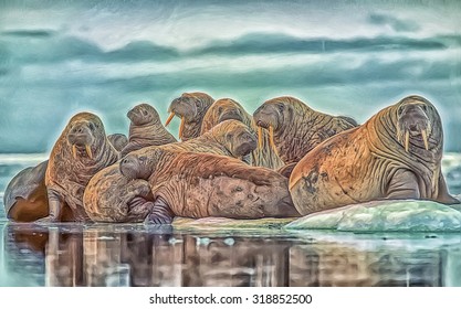 Walrus Herd On Arctic Ice Floe,photo Art