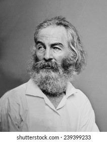 Walt Whitman (1819-1892) American Poet, Author, And Journalist In Portrait From Mathew Brady Studio, Ca.1863.