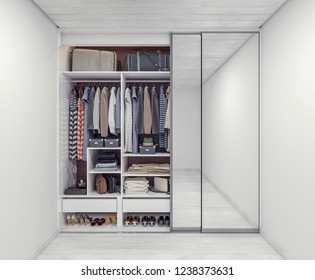 Wardrobe Closet Full Of Organized Things And Bags 3D Rendering, 3D Illustration