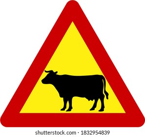 Warning sign with cattle on road symbol