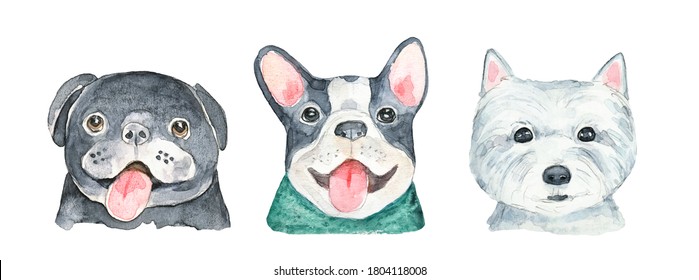 Water color set of popular small dog breed: pug, french bulldog, west highland terrier. Hand painted watercolour, cutout clip art elements for design, poster, banner, card, stickers, event invitation.